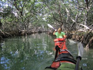 Someday, I hope to take Executives into the Everglades to learn leadership, character and life skills...just like my son Ben.